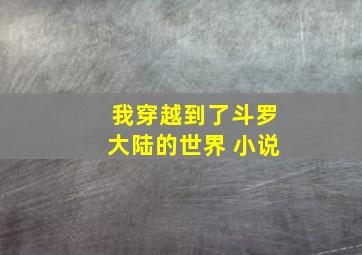 我穿越到了斗罗大陆的世界 小说